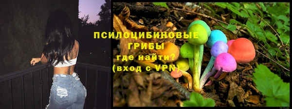 амфетамин Белокуриха