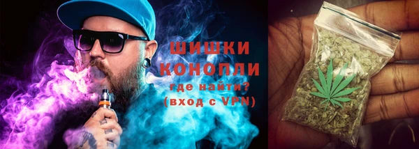 гидра Баксан
